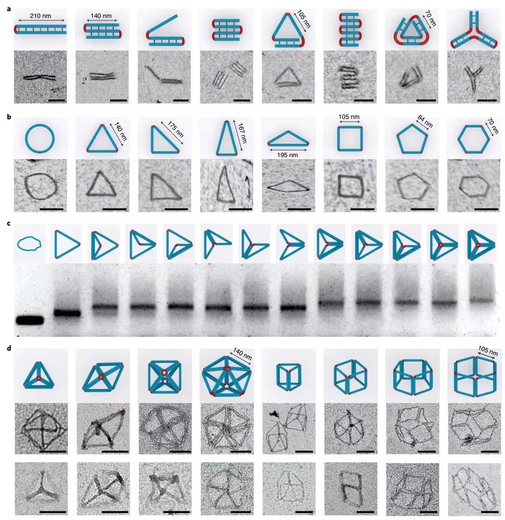 1634869274279836.jpg 0.jpg