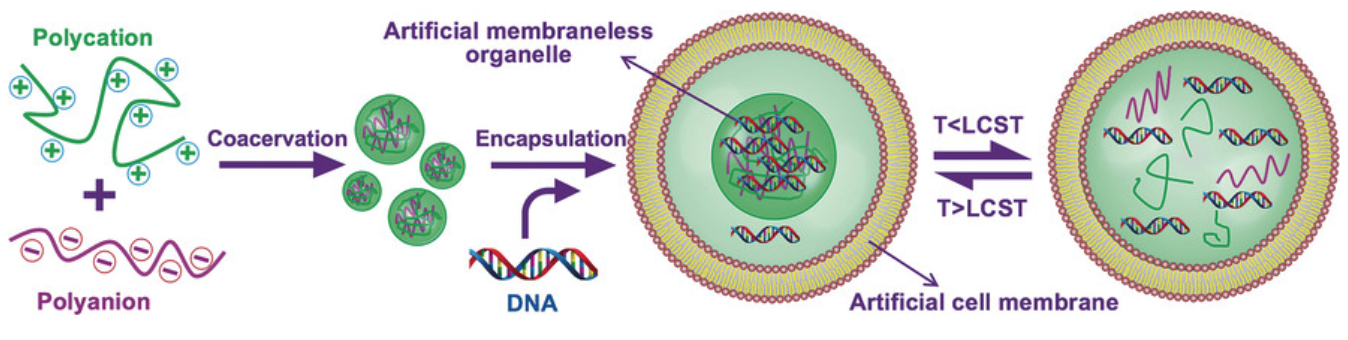 1644378732860721.png 1644378732860721.png