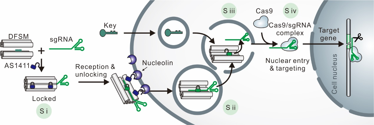 1692263322525030.png 1692263322525030.png