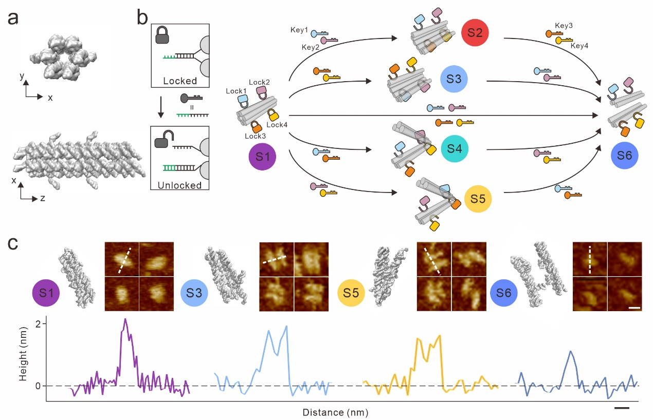 1692263353609114.png 1692263353609114.png