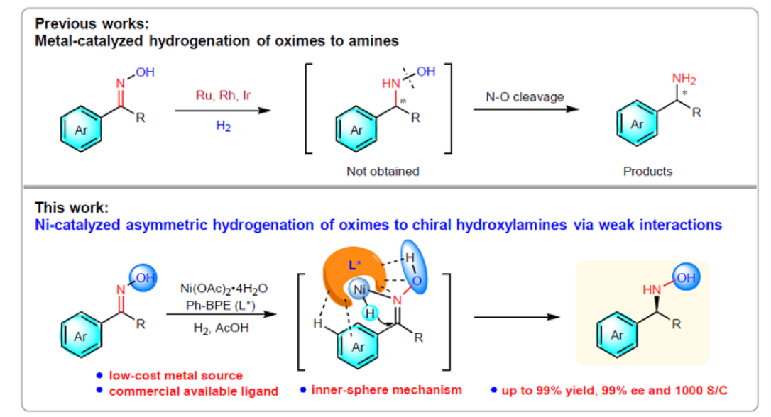 1699326980129762.png 1699326980129762.png