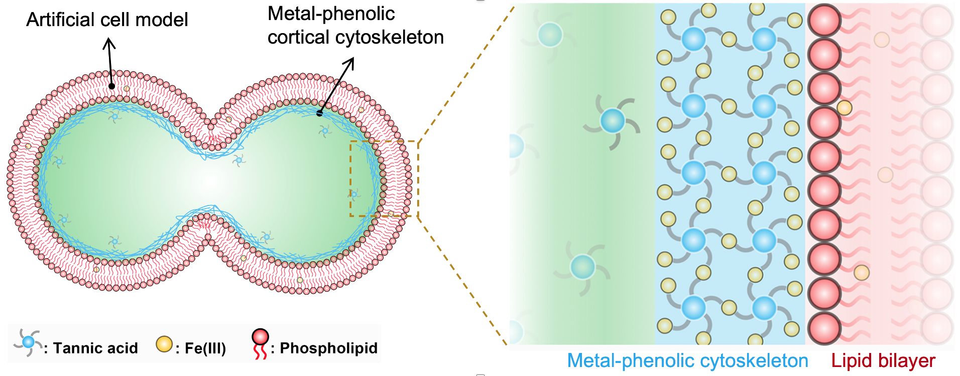 1705386652437198.png 1705386652437198.png