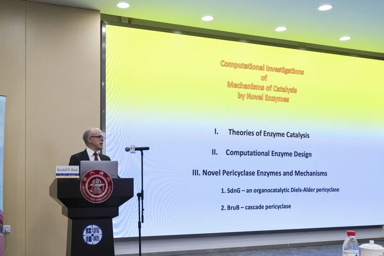 1732603682777987.jpg 2.jpg