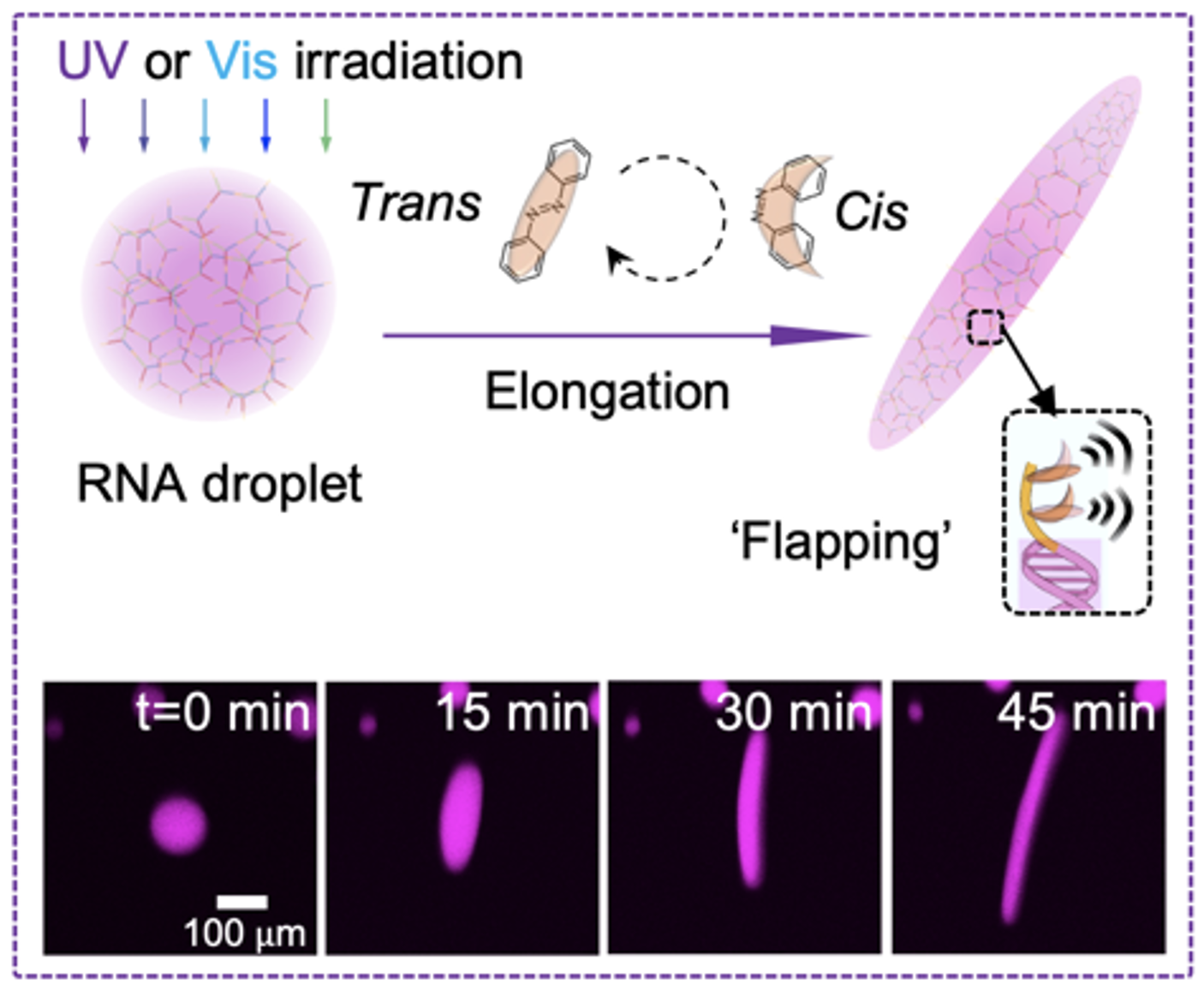 1757745355163185.png 1757745355163185.png